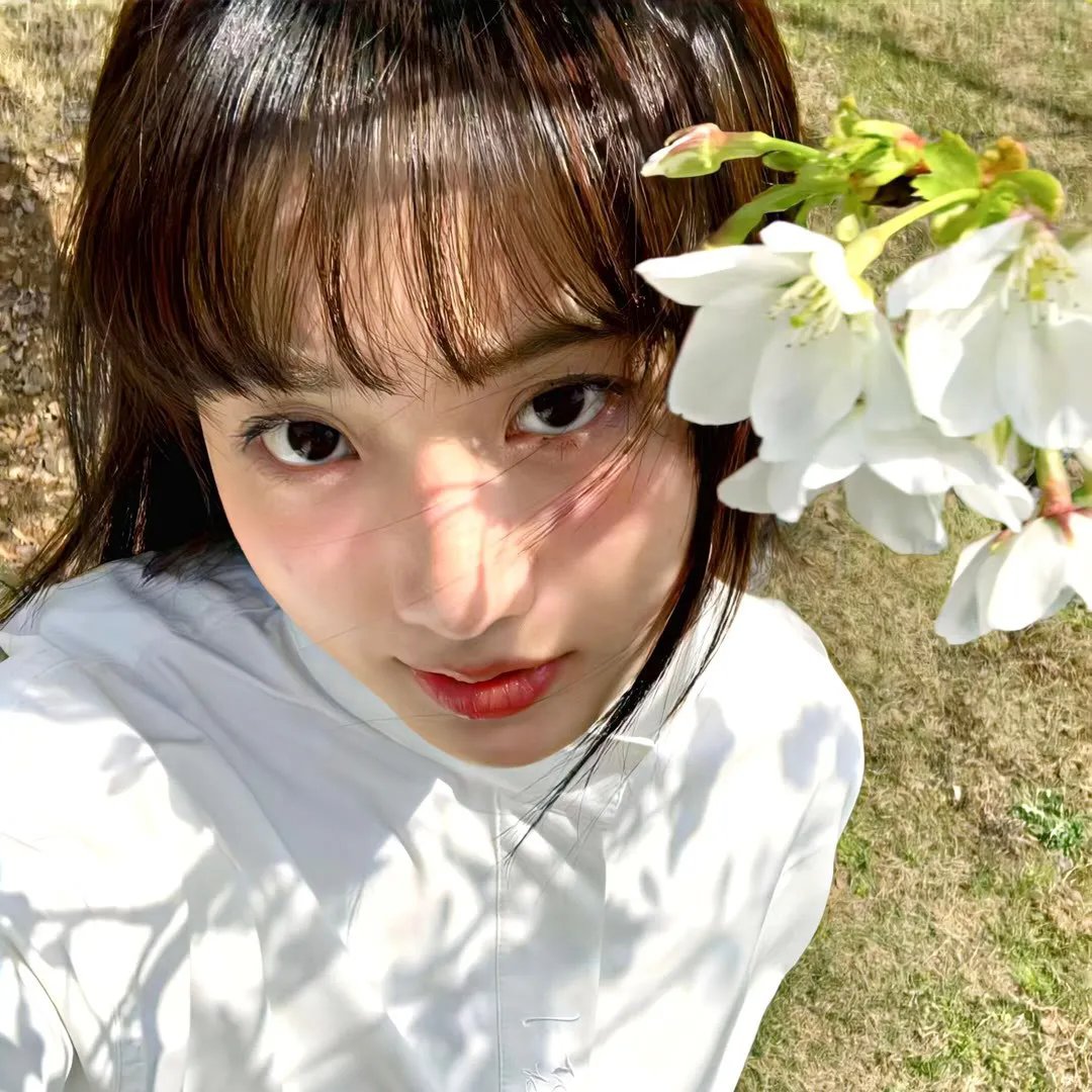 死神少爷与黑女仆